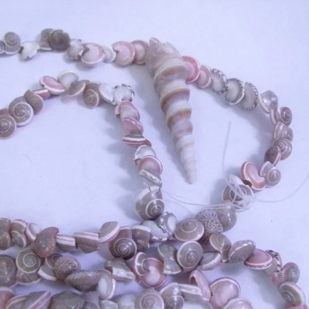 Seashell Umbonium Shell Garland